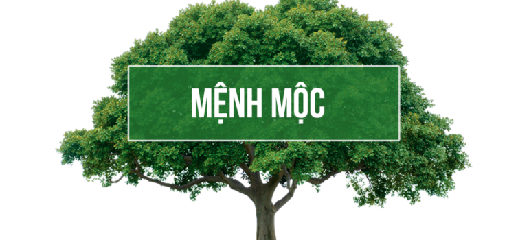 NGƯỜI MỆNH MỘC HỢP, KỴ MÀU GÌ?